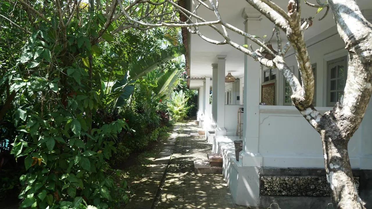Endless Summer Surf Camp Kuta Kuta  0*, Kuta (Bali)